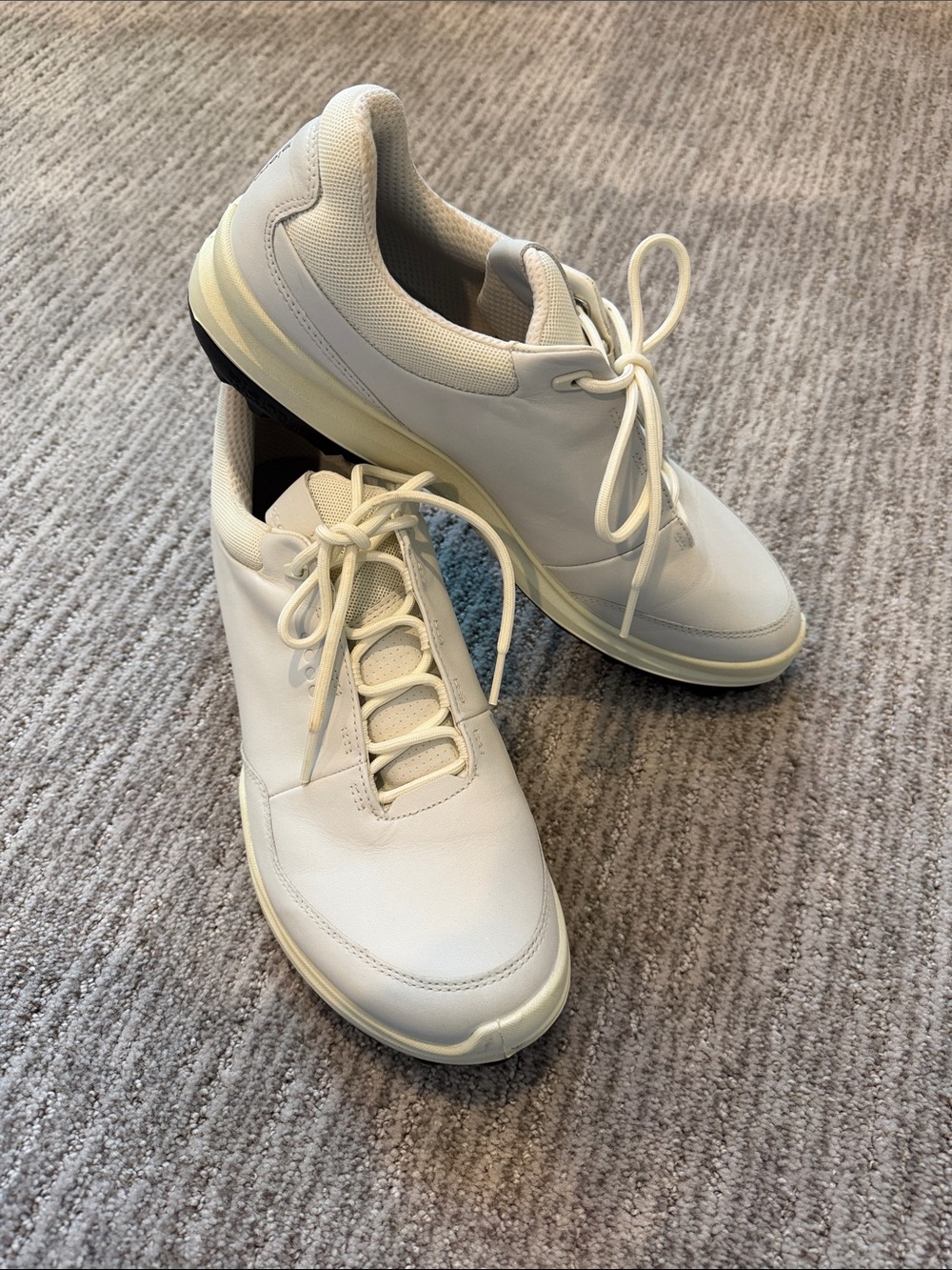 Ecco Biom golf shoes